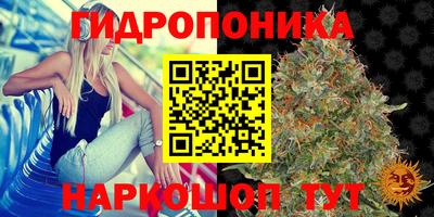 прущие грибы Бузулук