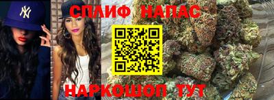МДПВ Будённовск