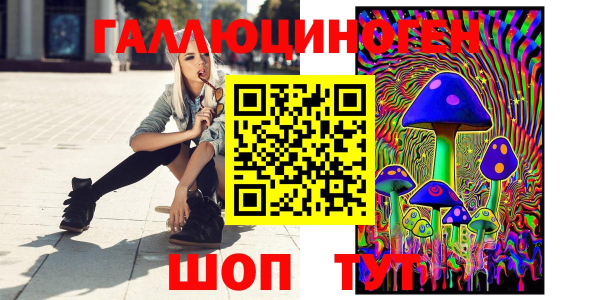 где продают   Галлюциногенные грибы прущие грибы  Вход с VPN  Курчалой 